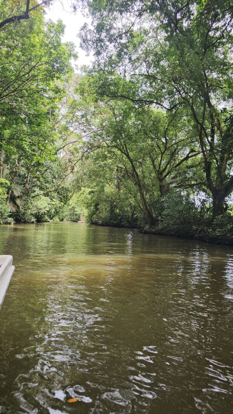 Goshen canal