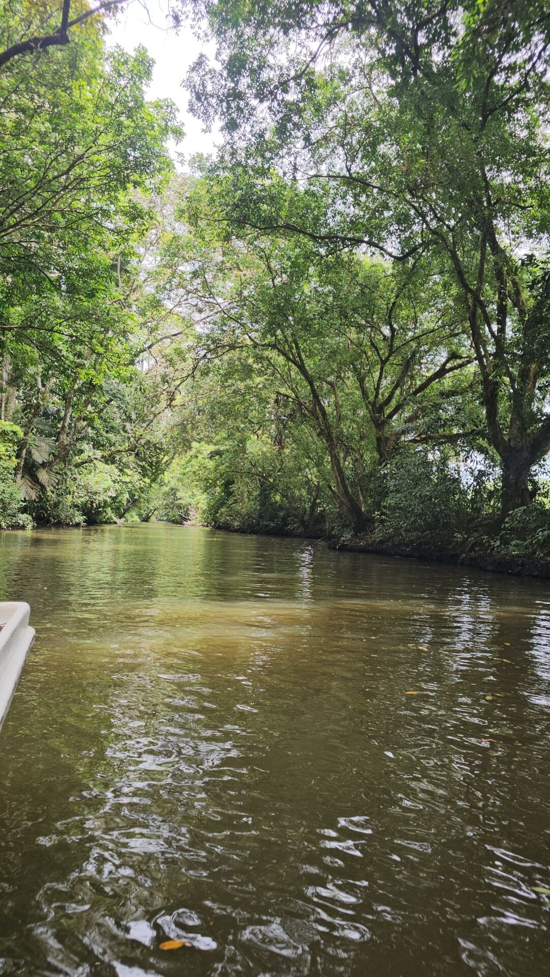 Goshen canal