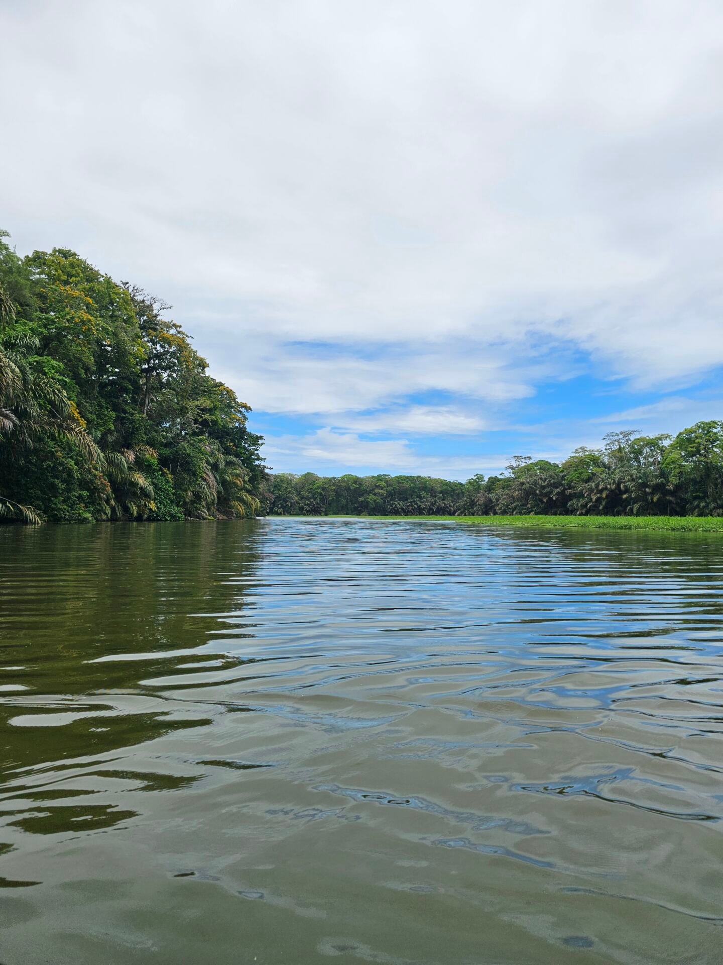 Canales de Tortuguero